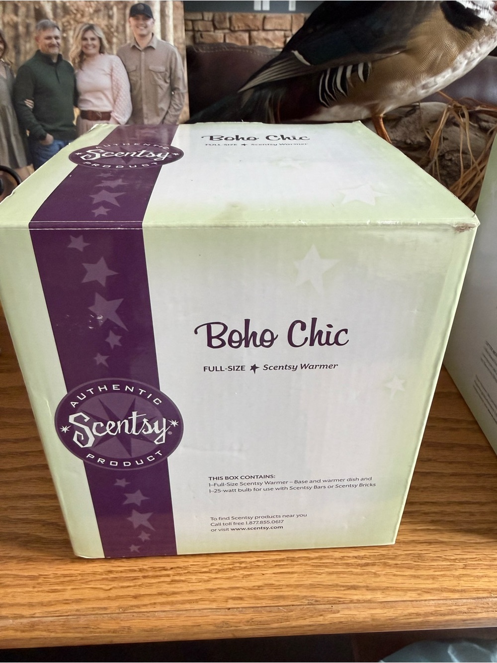 Scentsy Boho Chic full-size Warmer
